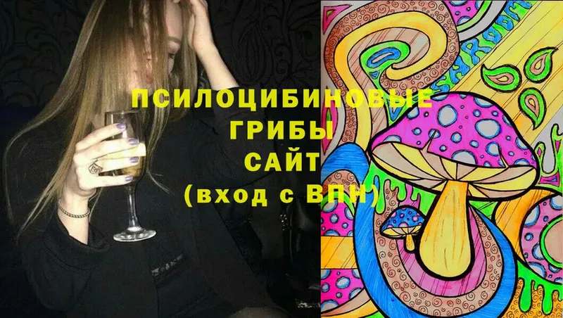 Псилоцибиновые грибы Cubensis  ОМГ ОМГ зеркало  Галич 